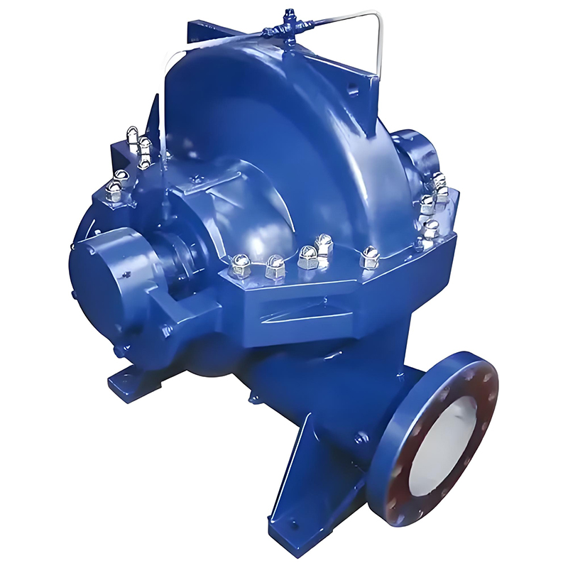 Double Suction Pump