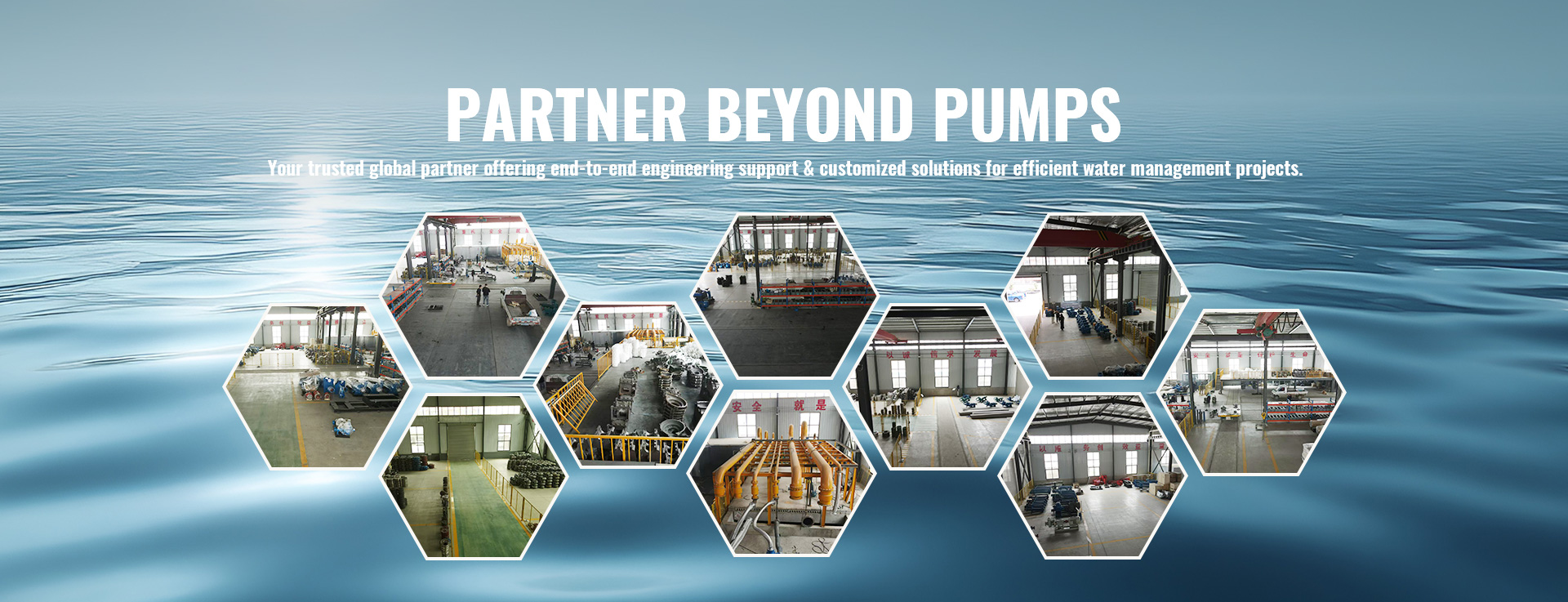 PARTNER BEYOND PUMPS
